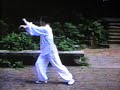 mr. yu in changsha hunan prc tai chi chuan