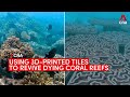 Are 3D-printed tiles the way to save coral reefs on the brink of extinction?