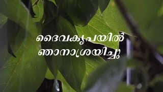 Daiva kripayil njan asrayichu | Malayalam Christian Devotional Songs