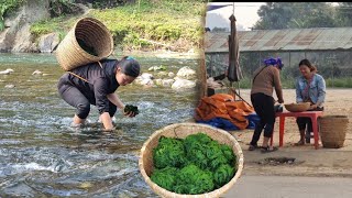 Rural life collecting seaweed and going to the market to live alone !! BT HOA