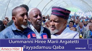 AMECO HIBIR: Uummanni Hiree Marii Argatetti Fayyadamuu Qaba 16/05/2017