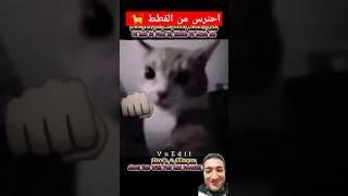 احترس من القطط #احمد_سعيد_اهتماماتي #اهتماماتي #معلومات #shorts