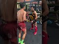 yodnamchai has muay thai elbows for days fairtex