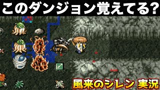 一発クリアなるか！？ワナのダンジョン【風来のシレン 実況004】