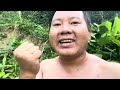 hmong survival life style ep1 from 3 rain forest food with lao jungle secret