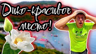 ДЮРСО. Сколько стоит здесь отдых на самом деле?! Море, пляж, цены на все. (Папа Может)