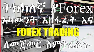 ✅ትክክለኛ የForex trading አካውንት አከፋፈትና ብራቹን በእጥፍ ሚያሳድግ | Create a real forex trading account in Ethiopia