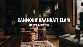 KANNODU KAANBATHELAM | SLOWED & REVERB | METAL | COVER | JEANS  | ARSAFES & ANIL