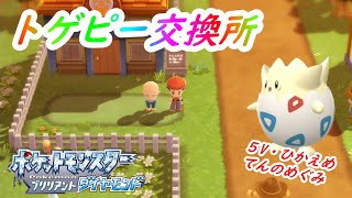 【ポケモンBDSP】トゲピー（５Vてんのめぐみ）交換します！【孵化あまり】