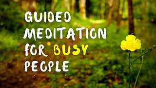 Pathways through Busyness, Overwhelm and Burnout | On-The-Go Meditation Guided by Brother Phap Huu
