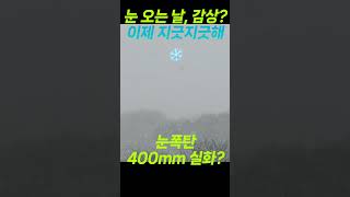 눈 오는 날, 그림 같은 풍경?? 현실은 눈 치우기! ❄️ #겨울 #눈치우기 시럿