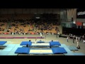 PALA Carlos Ramirez (BRA) - 2015 Trampoline Worlds - Qualification TR Routine 1