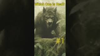 Dogman Which One Is Real #bigfoot #dogman #scary