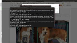 AttributeError: module 'tensorflow' has no attribute 'app'