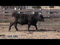 2020 wbt lot 183