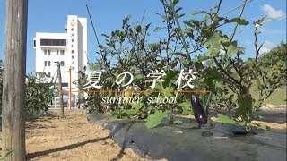 【イベント動画】夏の学校