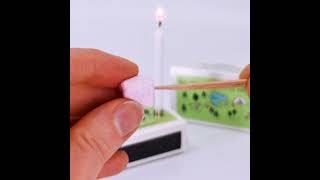 Mini Marshmallow Toasting Kit In A Matchbox