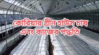 কোরিয়ার গ্রীন হাউস চাষ এবং কাজের পদ্ধতি || korean green house