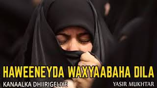 Waxyaabaha dhiba aweenayda