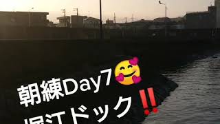 朝練Day7～～🎣🎣🎣 #旧江戸川 #堀江ドック #Fishing #釣り #釣り動画 #ハゼ釣り #tiktokfishing チャリンコfishing #感謝