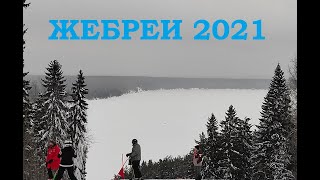 Горные лыжи в Пермском крае. Тренировка в п. Жебреи январь 2021 года слалом гигант