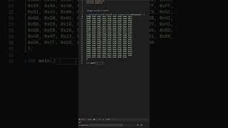 What is Shellcode #breach #windows #cybersecurity #microsoft #techtok #hack #hacker #shellcode