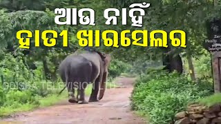 65-Year-Old Elephant Dies While Undergoing Treatment in Sambalpur's Debrigarh Sanctuary