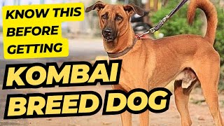 KNOW ABOUT KOMBAI BREED DOG #kombai #dog #trendingvideo #trending #pets #doglover #rajapalayam