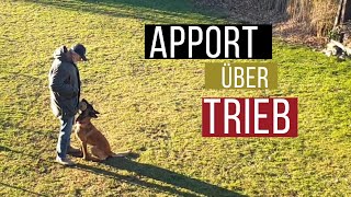 Apport über Trieb - Training für den Aspekt \