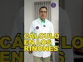 CÁLCULOS RENALES | Programa completa