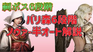 【祠ボス応援動画(簡易)】バリ森6段階ーノヴァ半オート解説／ノヴァスキル火力確認／バリ森攻撃動作確認／映像解説【黒い砂漠モバイル】