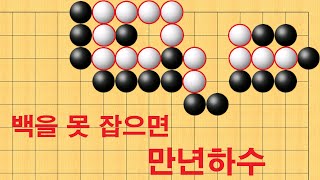 바둑 묘수 사활 - 백을 못 잡으면 만년하수 입니다