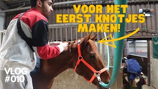 BEGINNENDE RUITER HEEFT ZIJN EERSTE WEDSTRIJD! | VLOG #010