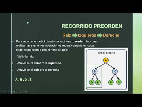 Arboles Binarios - Recorridos PreOrden, InOrden Y PostOrden - YouTube