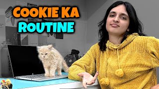 COOKIE KA ROUTINE | Aayu and Pihu Show