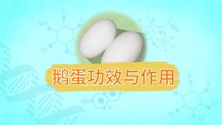 鵝蛋功效與作用