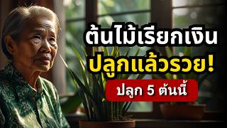 ไม่รวยก็แปลก! 5 ต้นไม้มงคล 'ดูดทรัพย์' เข้าบ้าน (ตำราพุทธโบราณ!) | ธรรมะปัญญา