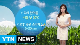 [날씨] 전통 명절 단오, 한 여름 더위에 오존 '주의' / YTN (Yes! Top News)