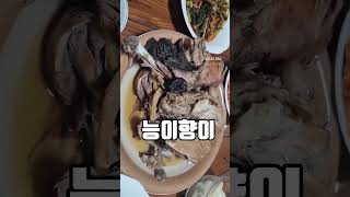 직접딴 능이로 백숙 맛이일품 👍 #란쟁이tv #능이백숙 #백숙 #능이 #능이버섯 #버섯