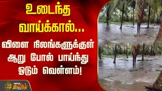 உடைந்த வாய்க்கால்...விளை நிலங்களுக்குள் ஆறு போல் பாய்ந்து ஓடும் வெள்ளம்! | Flood | Palani | Rain