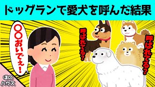 【ほのぼの】ドッグランで愛犬を呼んだ結果、可愛すぎることになった…www