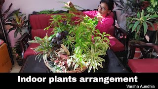 Indoor plants  arrangement | colourful  foliage plants decoration in big basket