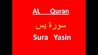 Surah Yasin Recitation|Surah Yasin Full Tilawat |Al Quran Beautiful Recitation
