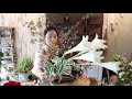 플라워레슨 222 시즌 디자인 센터피스 flower lesson 222 season design centerpiece ideas