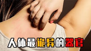 人体最诡异的器官，皮肤为何会莫名发痒？科学家至今无法解释