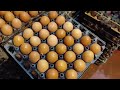 ডিমের আড়তে ভোক্তা অধিকারের অভিযান egg price bangladesh