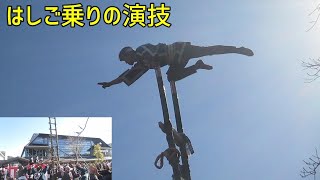 令和5年小田原市消防出初式にてはしご乗りの演技に感動（2023年1月11日）