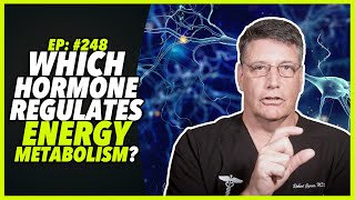 Ep:248 WHICH HORMONE REGULATES ENERGY METABOLISM? - by Robert Cywes