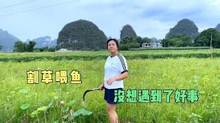 小双去割草喂鱼，一到鱼塘兴奋了起来，看看遇到了啥