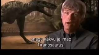 Nanotyrannus and T rex Comparison